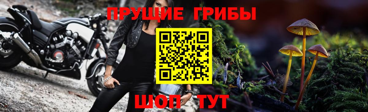 Псилоцибиновые грибы ЛСД  как найти наркотики  Белгород  Вход с VPN 
